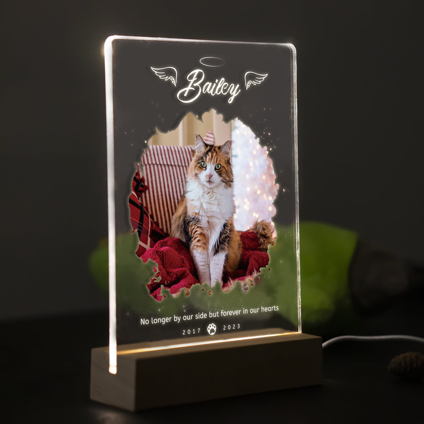 Custom Pet Acrylic Plaque