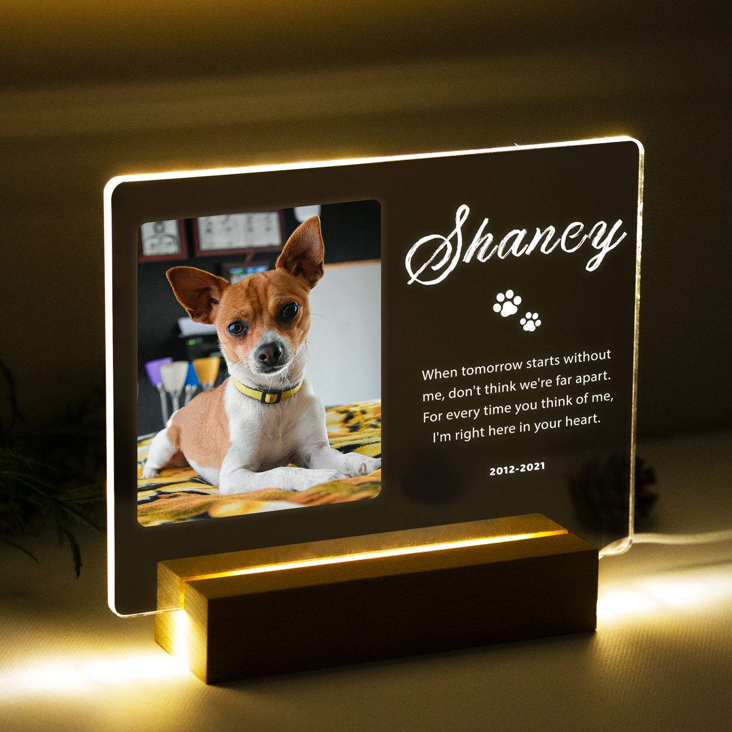 Custom Pet Acrylic Plaque