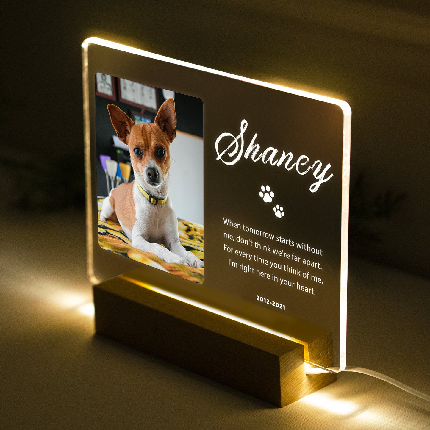 Custom Pet Acrylic Plaque