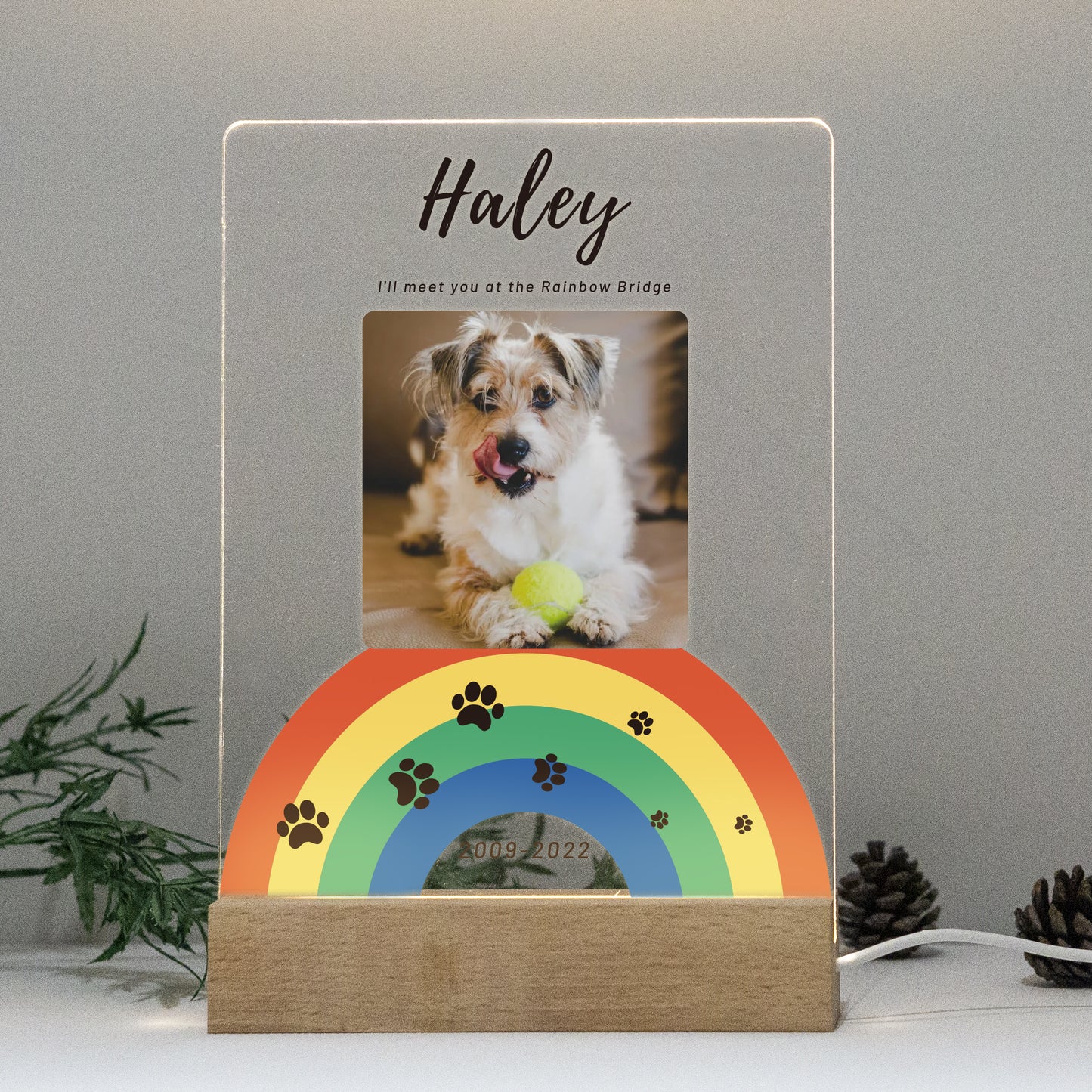 Custom Pet Acrylic Plaque