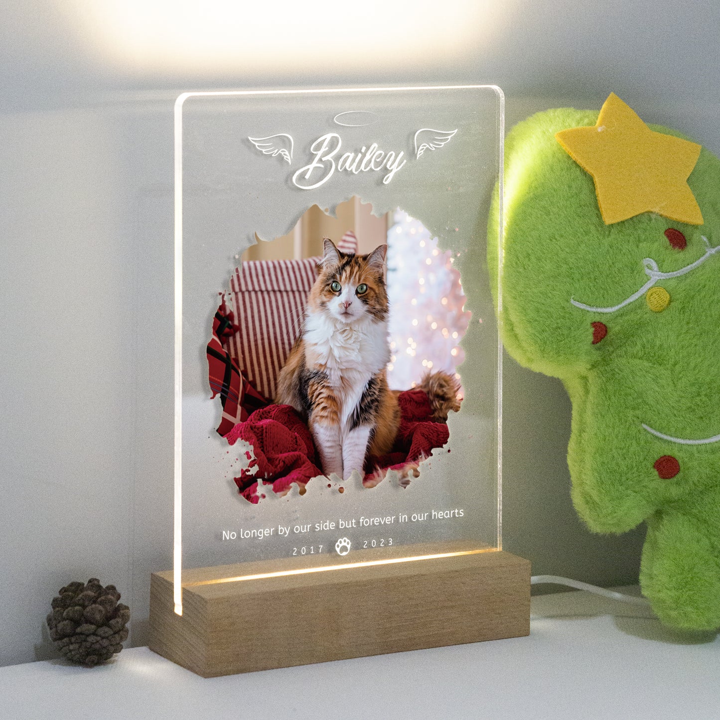 Custom Pet Acrylic Plaque