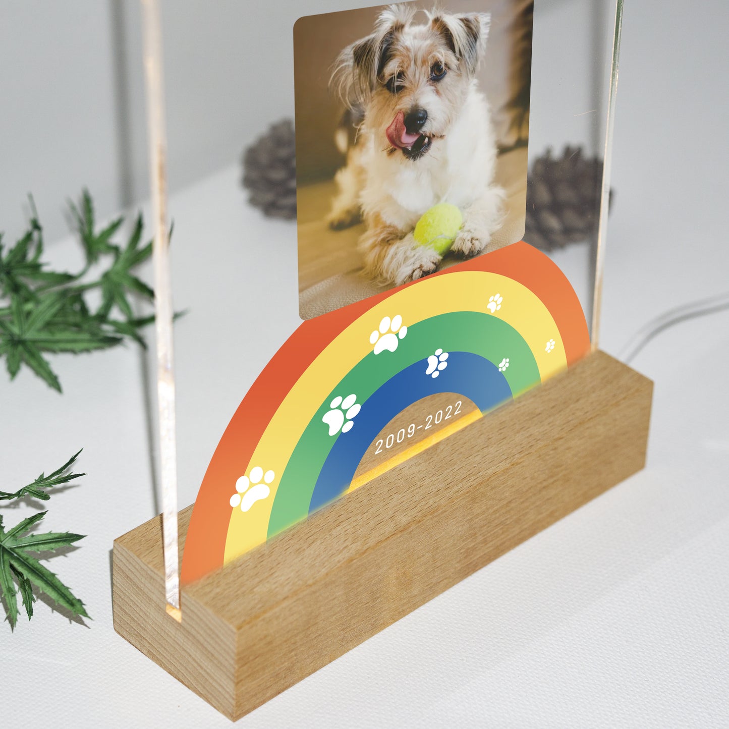 Custom Pet Acrylic Plaque