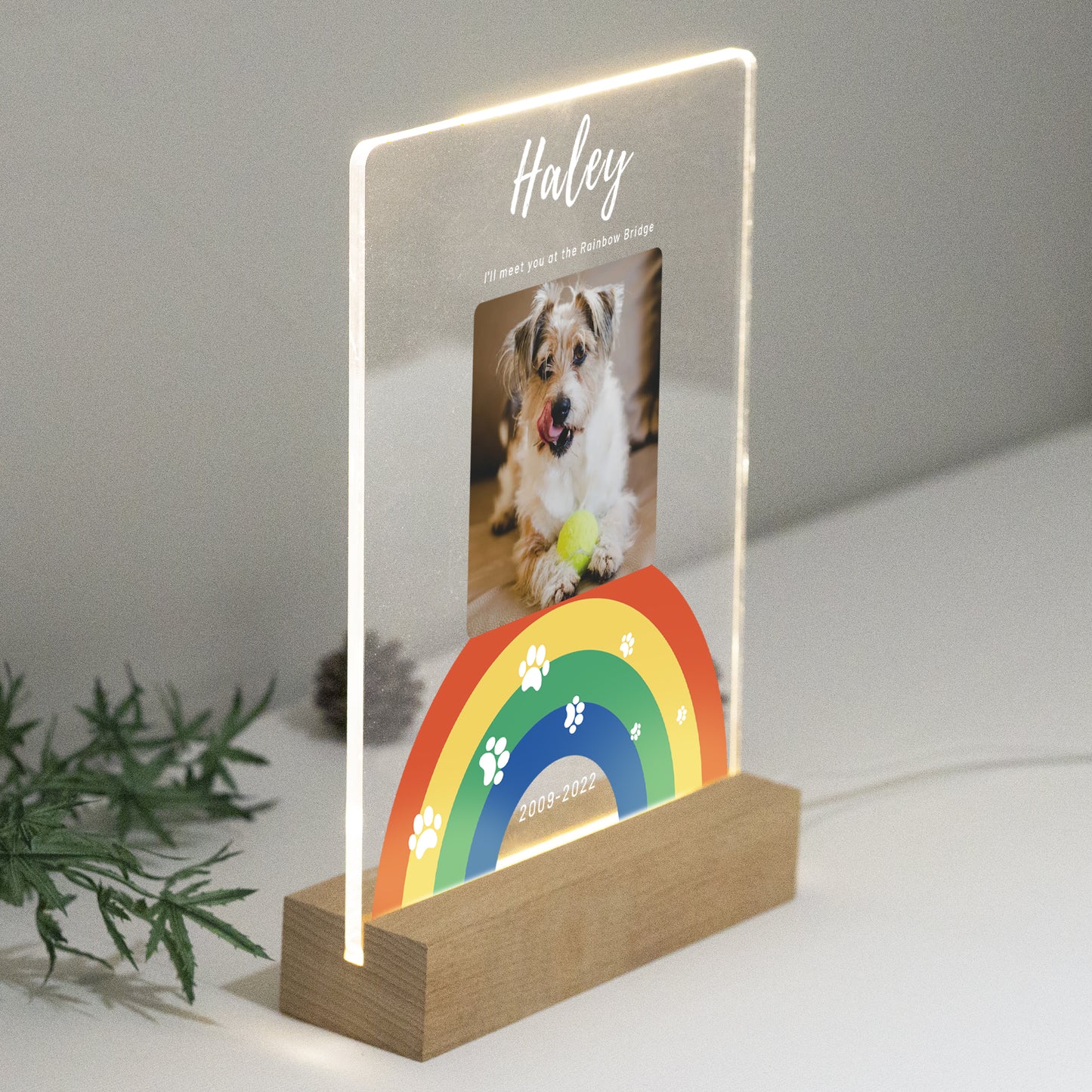 Custom Pet Acrylic Plaque