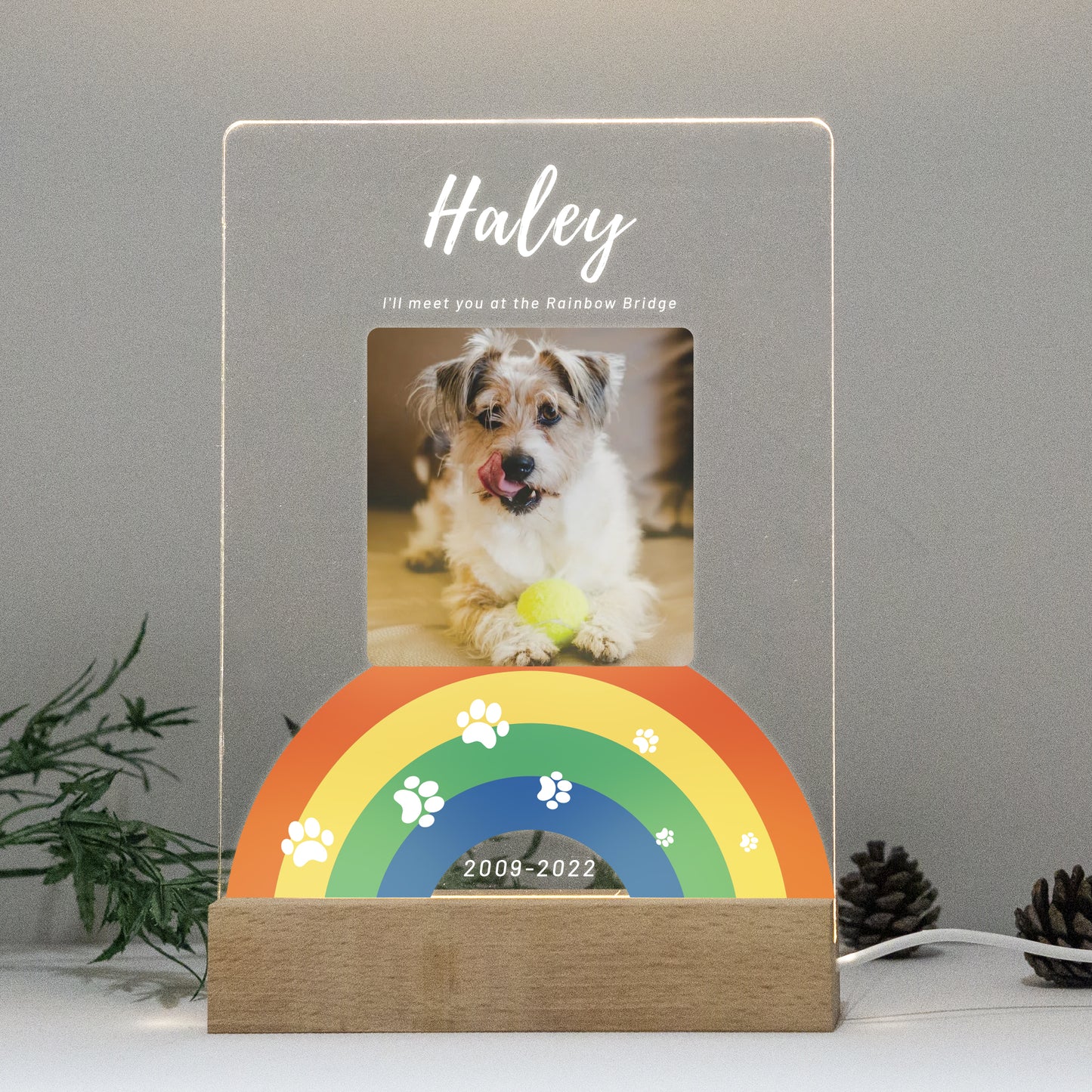 Custom Pet Acrylic Plaque